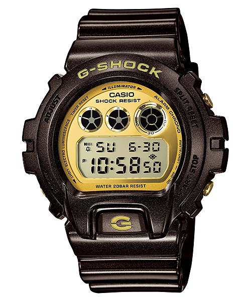 casio g-shock dw-6900br-5